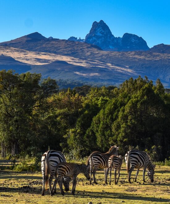 Discover Best Sceneries