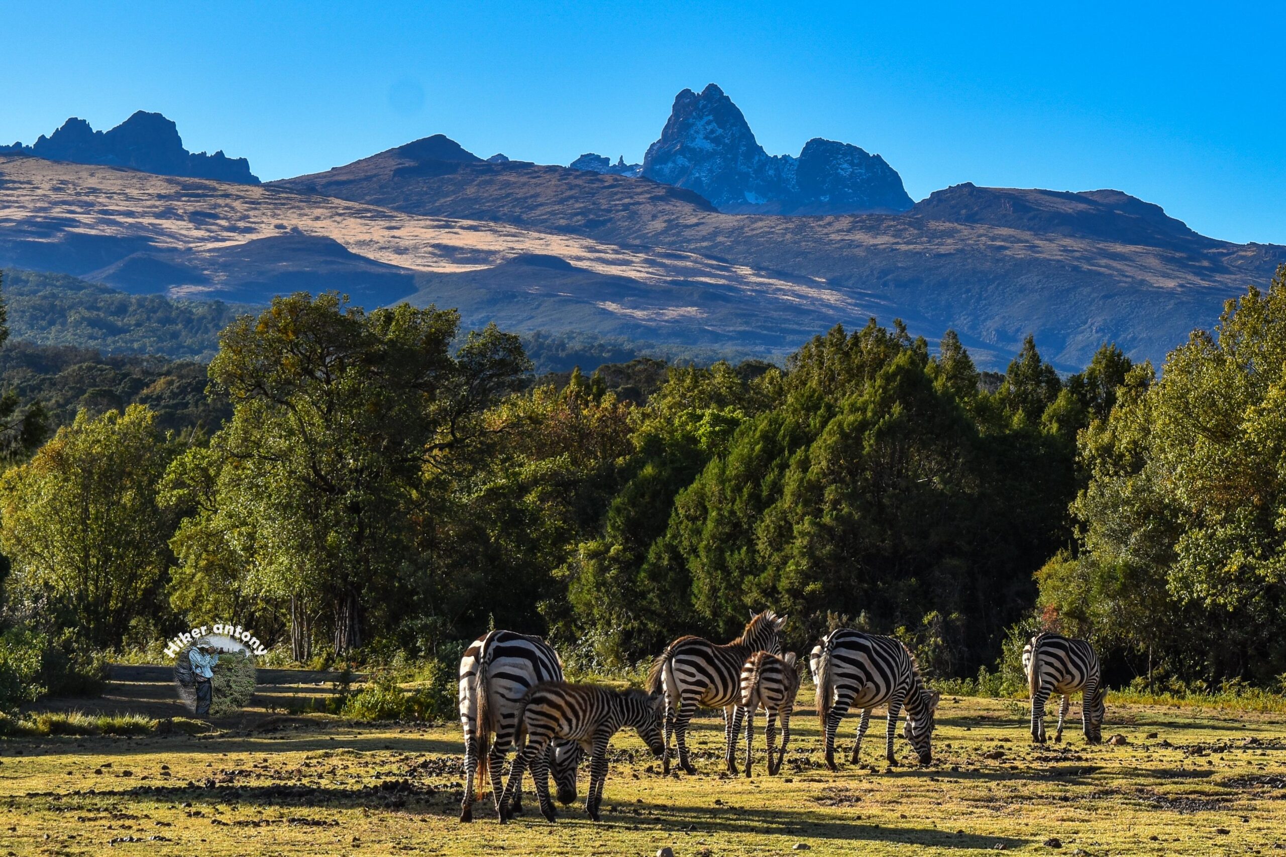 Mt. Kenya