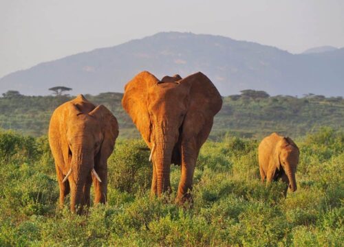 NAIVASHA CHRISTMAS & NEW YEAR GETAWAY PACKAGES