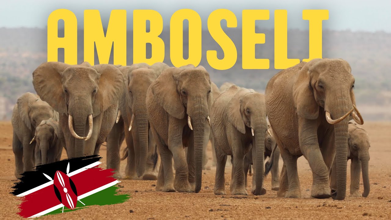 Amboseli