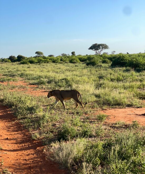 Pwani University staff safari to Tsavo