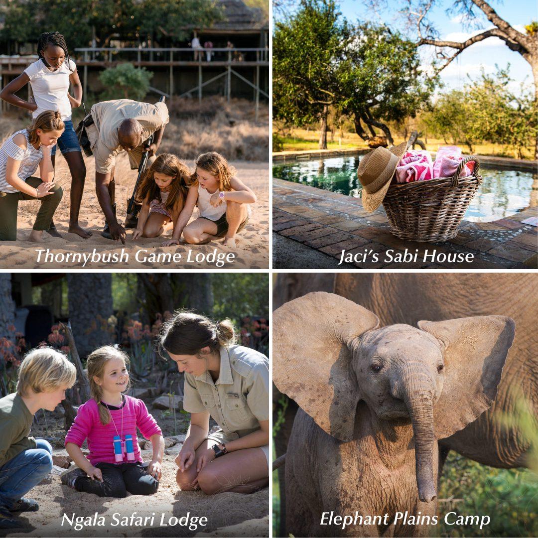 Child-Friendly Safari Lodges: Where Comfort Meets Adventure
