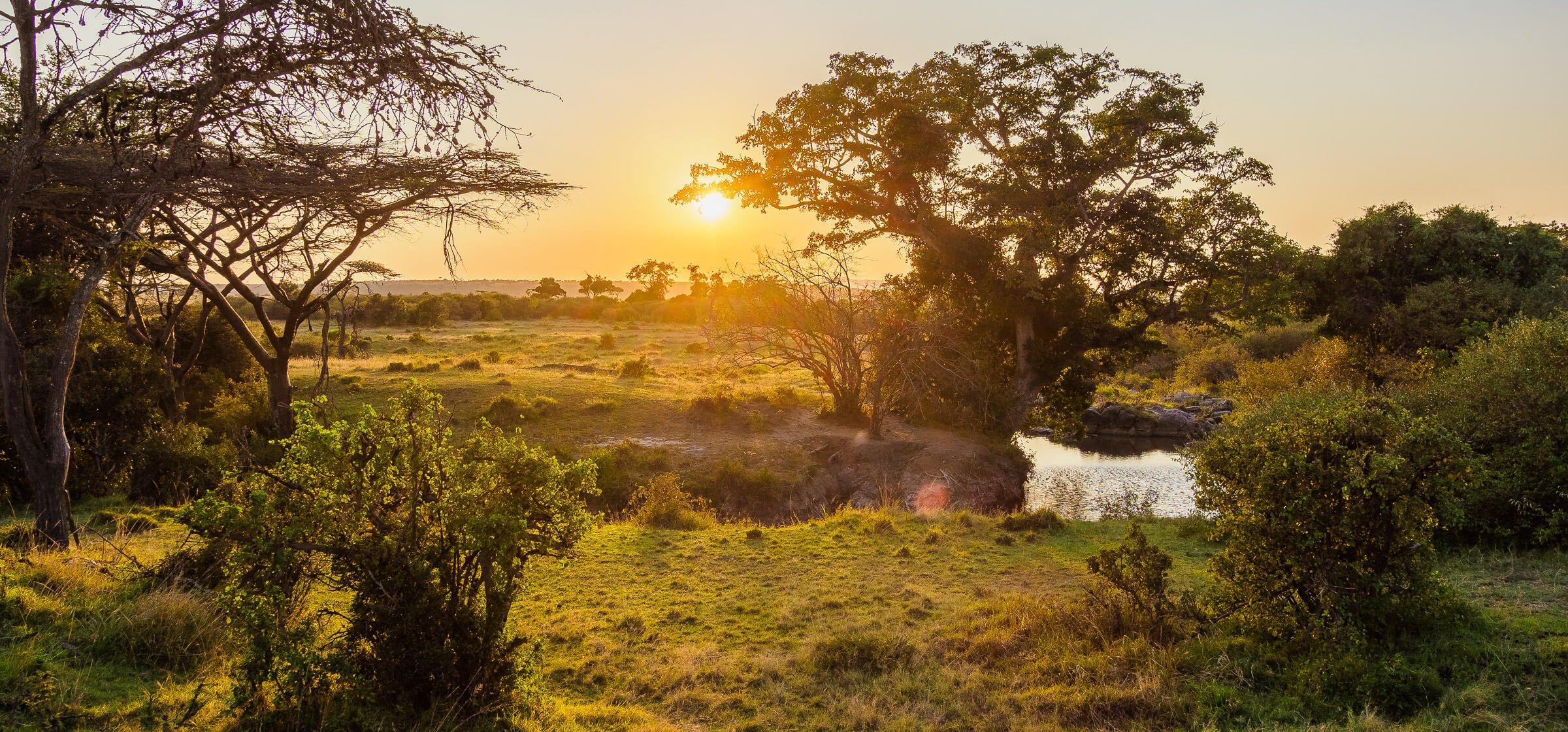 Unveiling the Spectacular Maasai Mara and Serengeti Ecosystem
