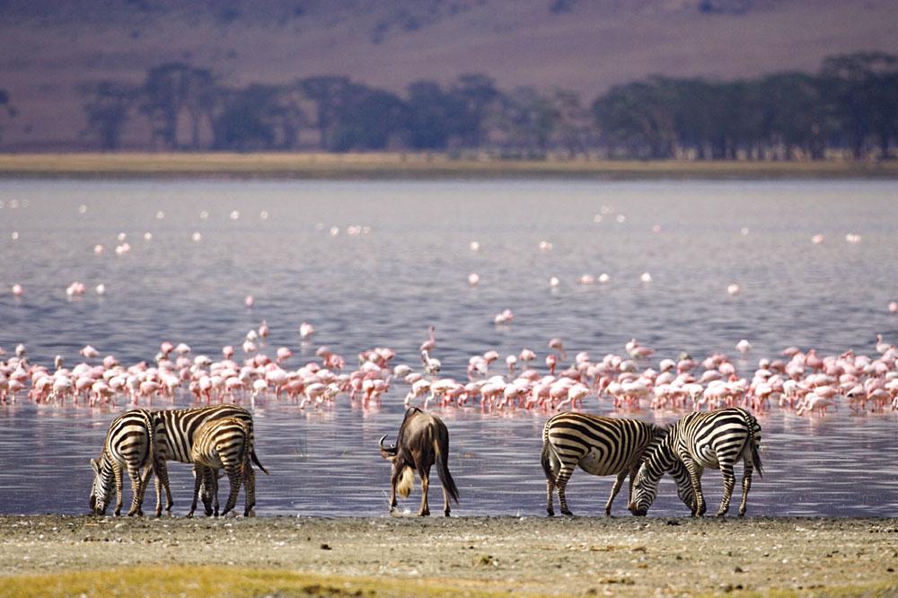 Exploring Lesser-Known Ecotourism Havens in East Africa