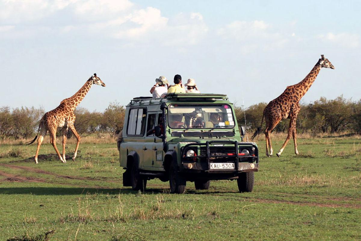 Health and Safety Essentials for Your African Safari Trip
