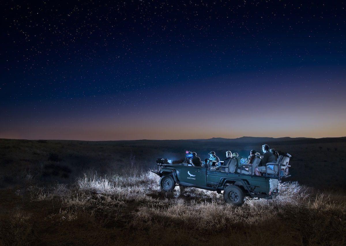 Thrilling Encounters Under the Stars