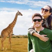 What to Expect on Your First African Safari
