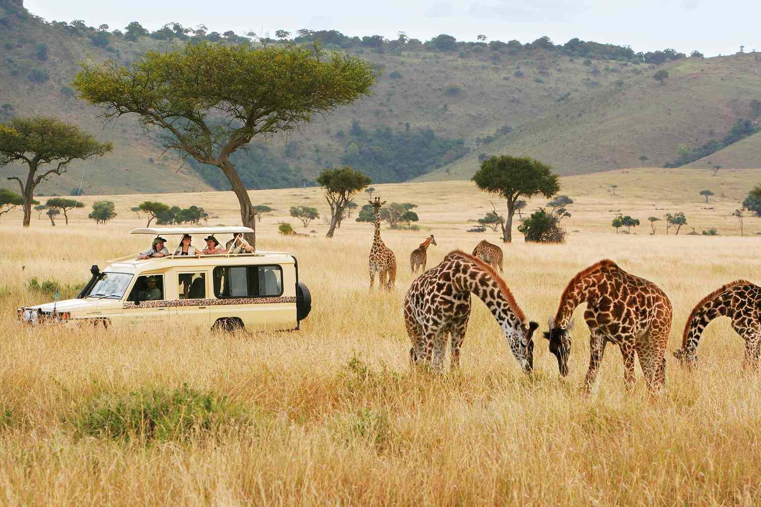 How to Choose the Right Safari Package for Your Budget