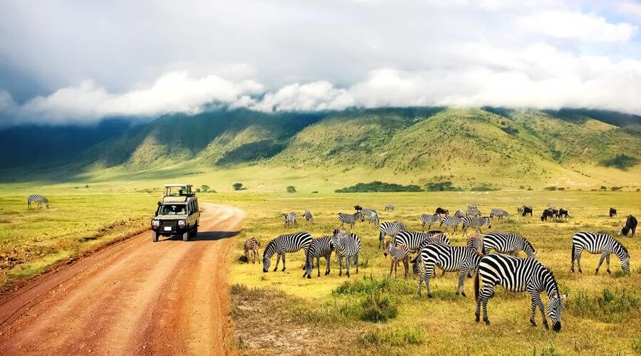 Cross-Border Safaris: How to Tour Kenya, Tanzania, and Uganda Seamlessly
