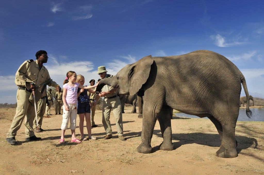 Ethical Wildlife Encounters: Respecting Nature and Local Communities