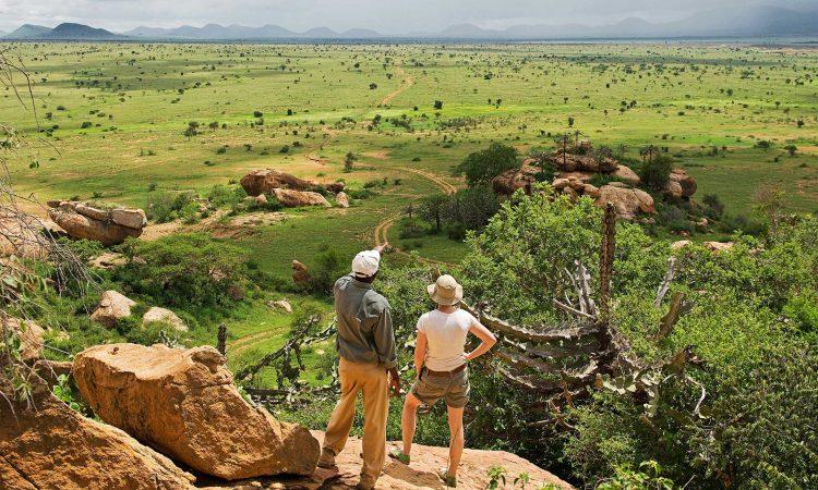 Thrilling Walking Trails Through Untamed Wilderness