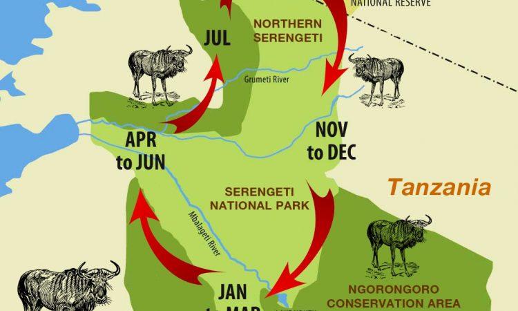 Heading 2: Best Times to Witness the Migration and Where to Stay