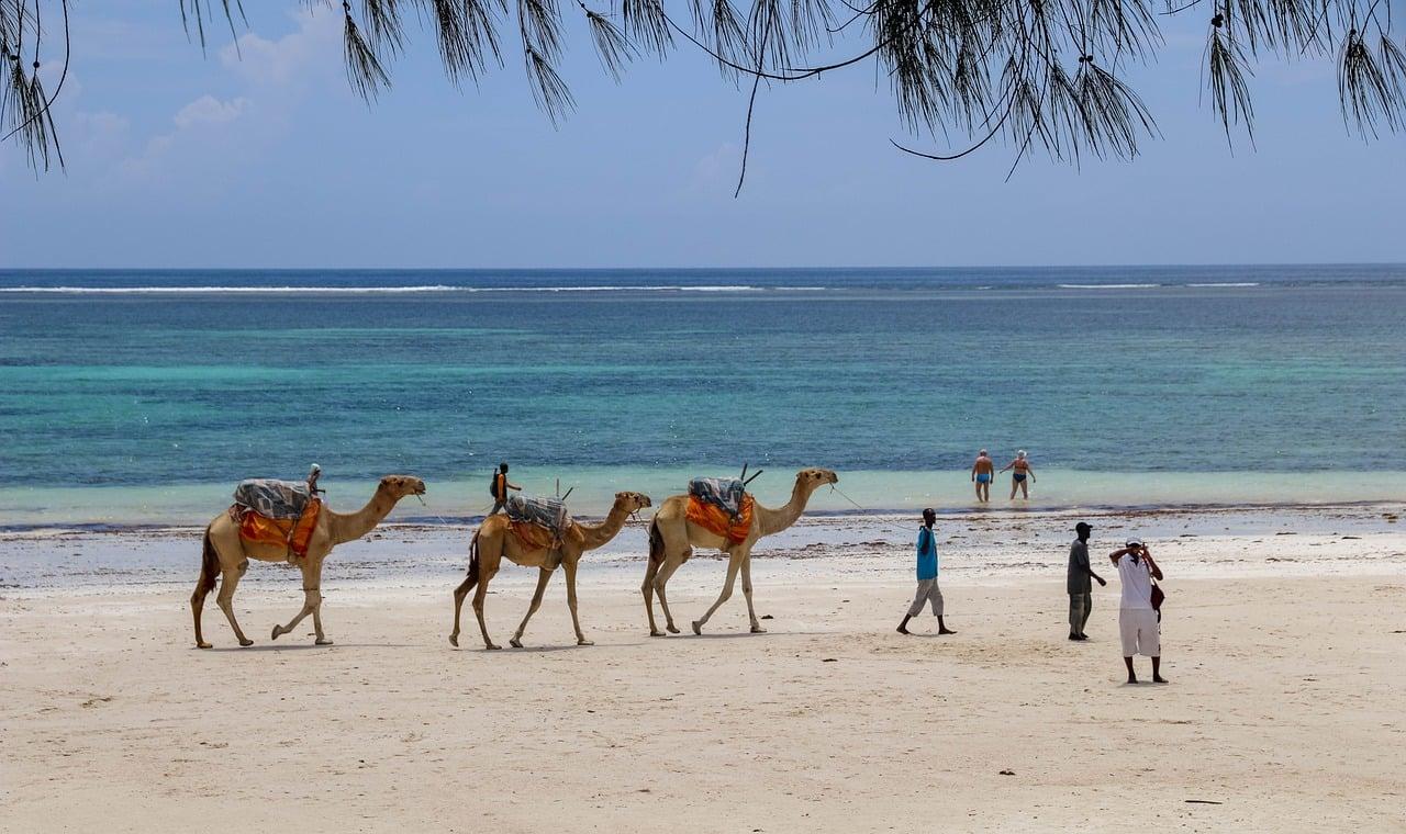 Beach Escapes After Safari: Best Coastal Spots in Kenya & Zanzibar