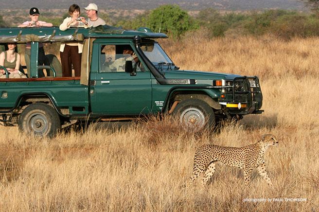 Sustainable Safari Travel: How You Can Make a Difference