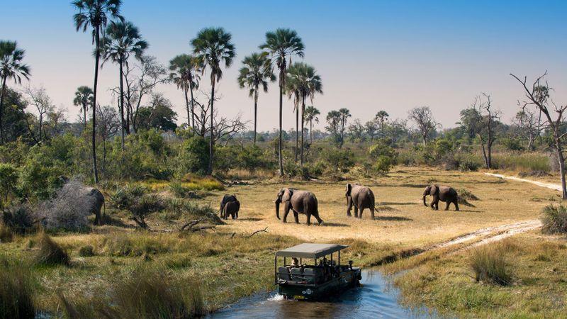 Eco-Tourism in Africa: Travel Responsibly with African Fortune