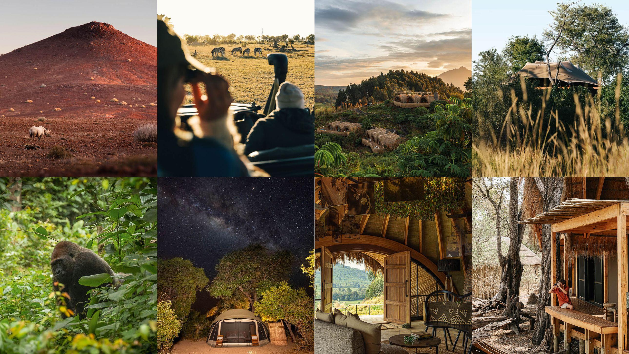 Conservation-Focused Safari Lodges: Supporting Wildlife Protection Efforts