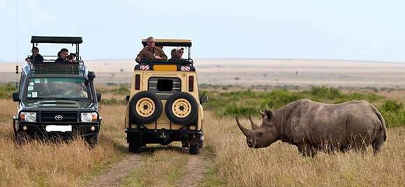 Exploring the Hidden Gems of Lake Nakuru and Tarangire National Park