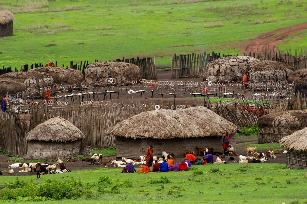 Immersive Experiences with Indigenous Communities