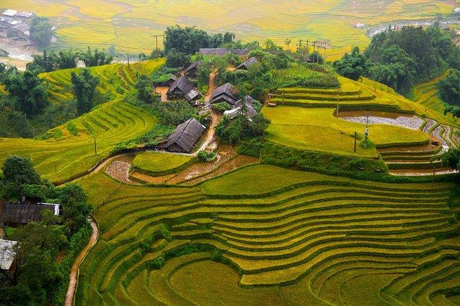 Off-the-Beaten-Path: Discovering Authentic Cultural Encounters