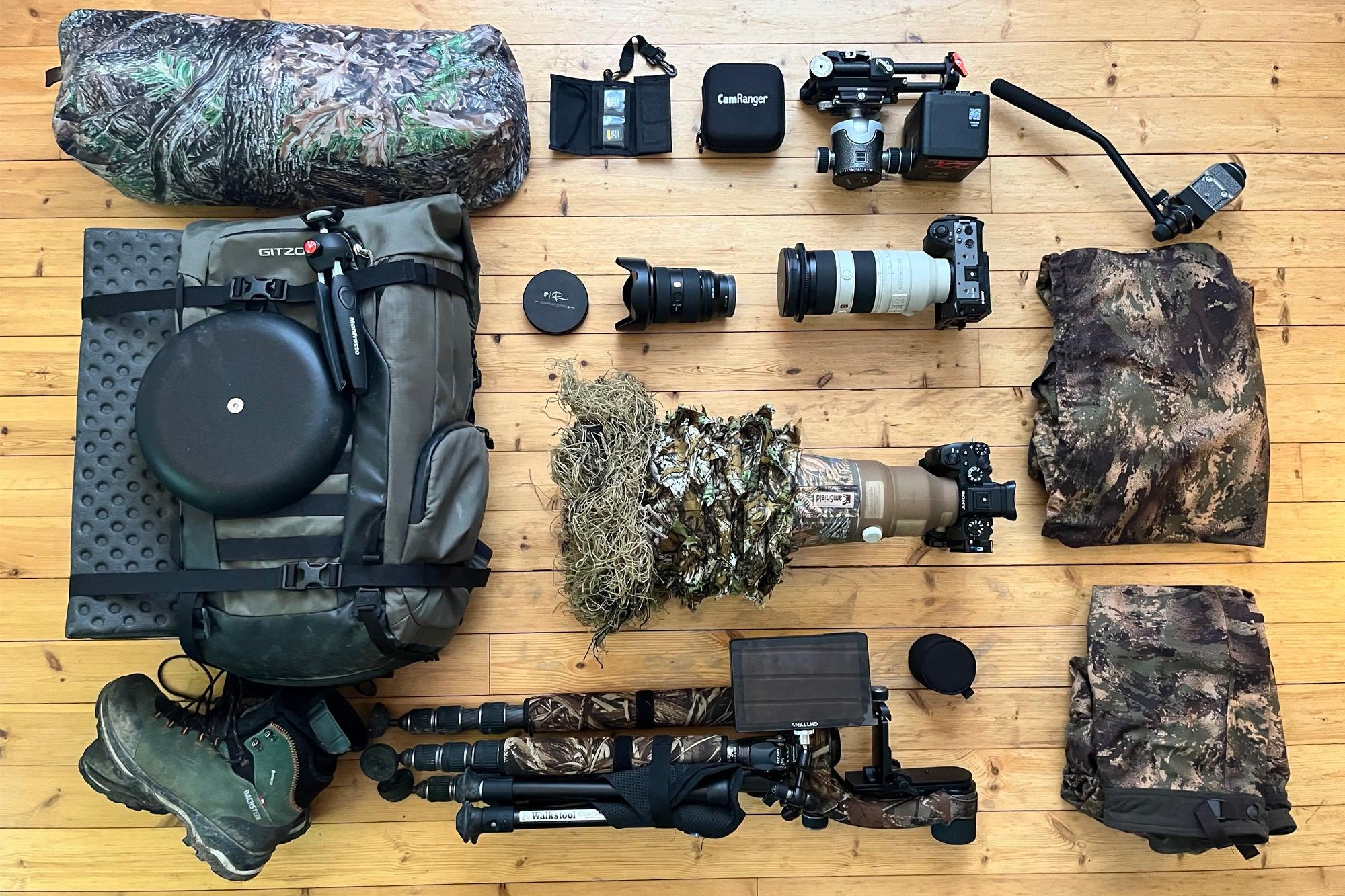 Preparing for the Wild Encounter: Essential Gear and Camera Settings