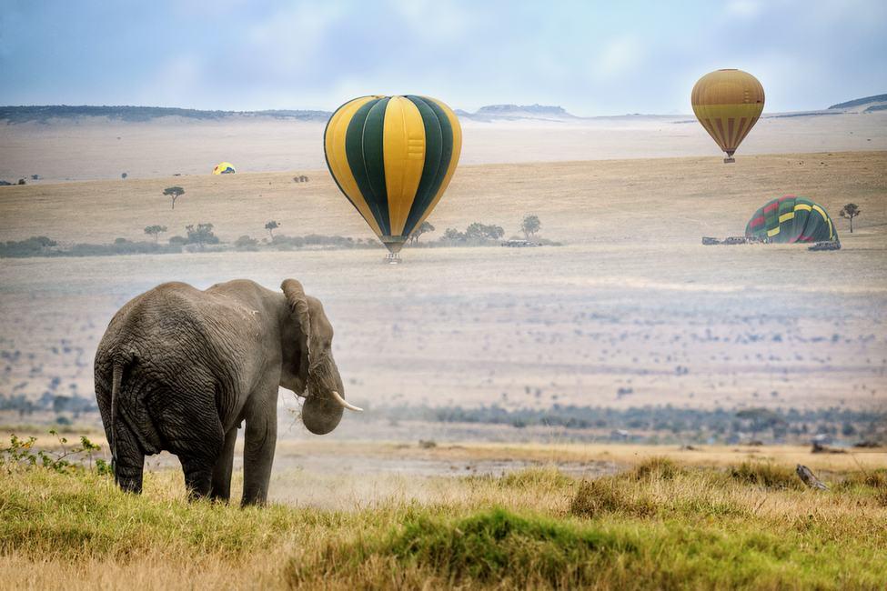 Unforgettable Balloon Safaris Over African Landscapes