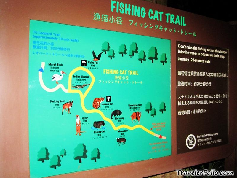 Night Safari Dos and Don'ts