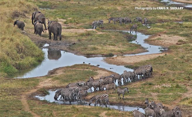 Exploring Africa's Breathtaking Ecosystems Responsibly